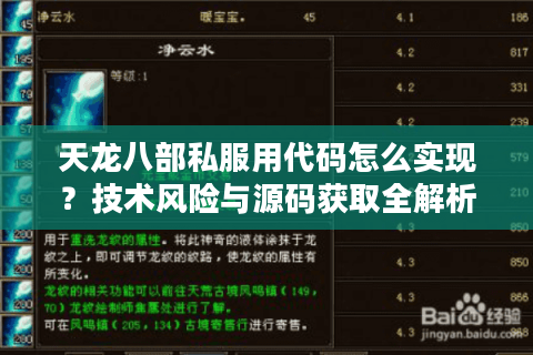 天龙八部私服用代码怎么实现？技术风险与源码获取全解析