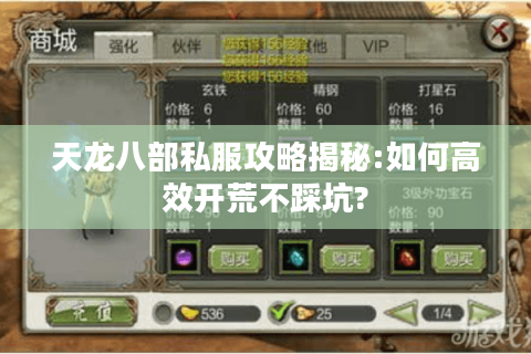 天龙八部私服攻略揭秘:如何高效开荒不踩坑?