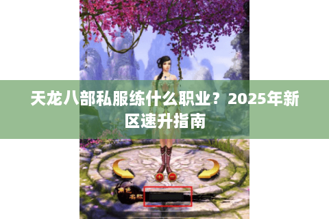 天龙八部私服练什么职业？2025年新区速升指南