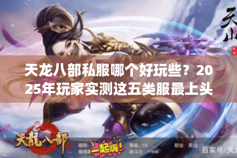 天龙八部私服哪个好玩些？2025年玩家实测这五类服最上头