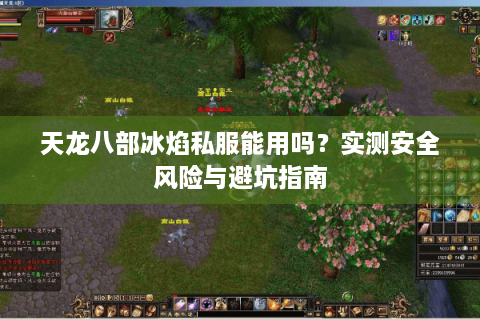 天龙八部冰焰私服能用吗？实测安全风险与避坑指南