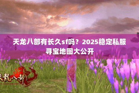天龙八部有长久sf吗？2025稳定私服寻宝地图大公开