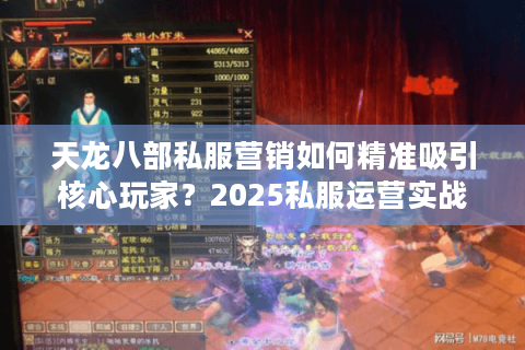 天龙八部私服营销如何精准吸引核心玩家？2025私服运营实战指南