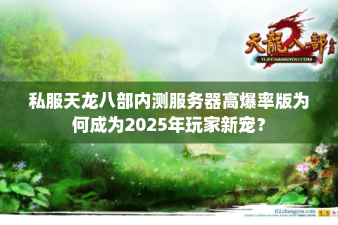 私服天龙八部内测服务器高爆率版为何成为2025年玩家新宠？