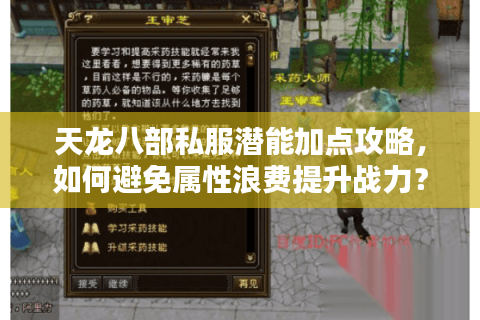 天龙八部私服潜能加点攻略，如何避免属性浪费提升战力？