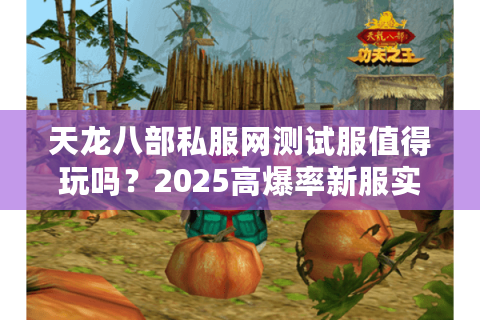 天龙八部私服网测试服值得玩吗？2025高爆率新服实测报告