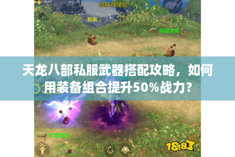 天龙八部私服武器搭配攻略，如何用装备组合提升50%战力？