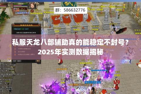 私服天龙八部辅助真的能稳定不封号？2025年实测数据揭秘