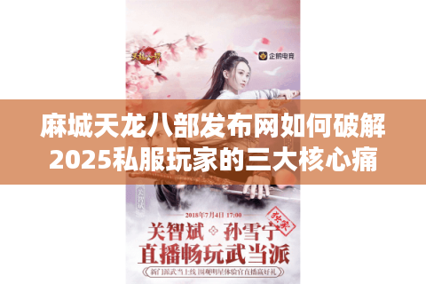 麻城天龙八部发布网如何破解2025私服玩家的三大核心痛点？