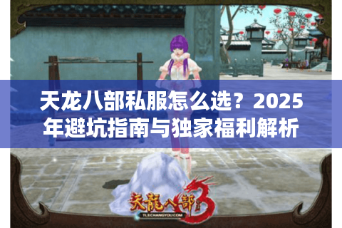 天龙八部私服怎么选？2025年避坑指南与独家福利解析