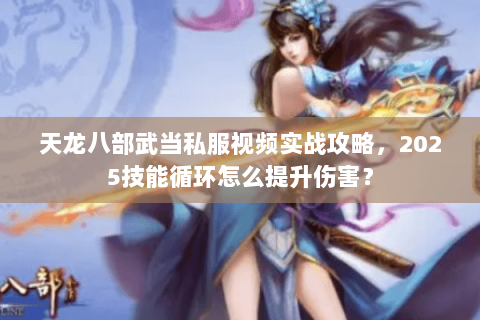 天龙八部武当私服视频实战攻略，2025技能循环怎么提升伤害？