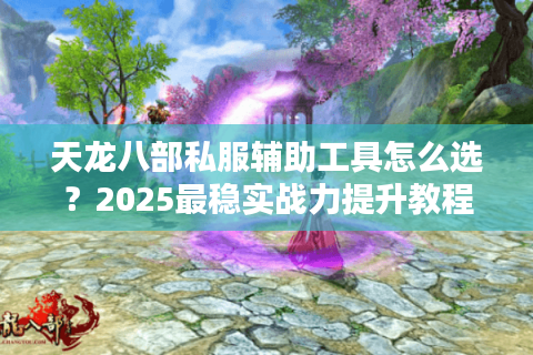 天龙八部私服辅助工具怎么选？2025最稳实战力提升教程