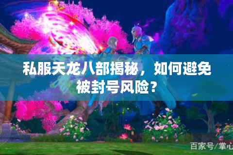 私服天龙八部揭秘，如何避免被封号风险？