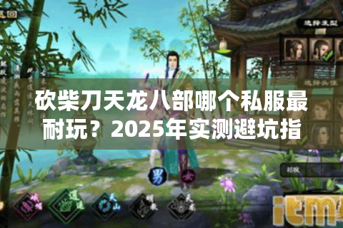 砍柴刀天龙八部哪个私服最耐玩？2025年实测避坑指南
