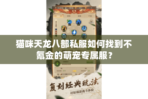 猫咪天龙八部私服如何找到不氪金的萌宠专属服？