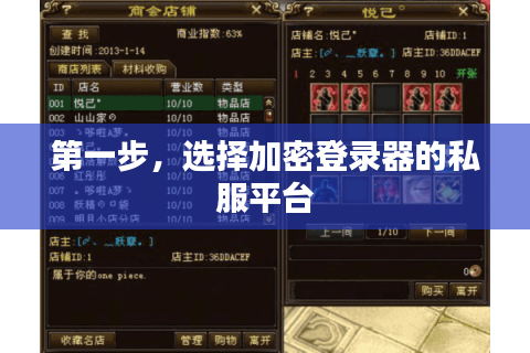 第一步，选择加密登录器的私服平台