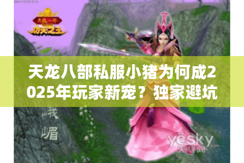 天龙八部私服小猪为何成2025年玩家新宠？独家避坑指南揭秘