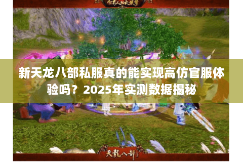 新天龙八部私服真的能实现高仿官服体验吗？2025年实测数据揭秘