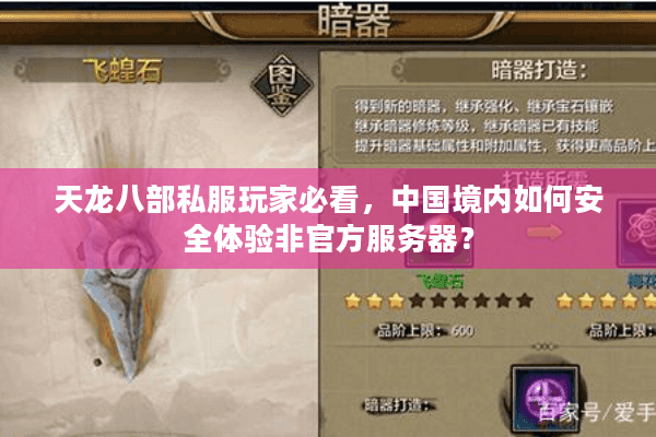 天龙八部私服玩家必看，中国境内如何安全体验非官方服务器？