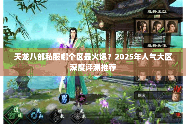 天龙八部私服哪个区最火爆？2025年人气大区深度评测推荐