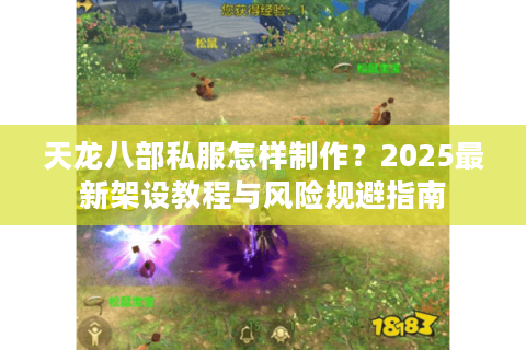 天龙八部私服怎样制作？2025最新架设教程与风险规避指南