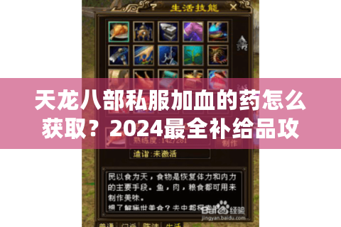 天龙八部私服加血的药怎么获取？2024最全补给品攻略解析