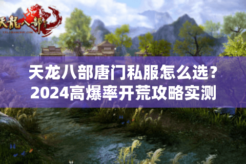 天龙八部唐门私服怎么选？2024高爆率开荒攻略实测