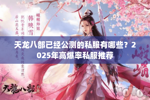 天龙八部已经公测的私服有哪些？2025年高爆率私服推荐