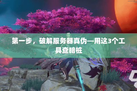 第一步，破解服务器真伪—用这3个工具查暗桩