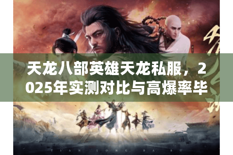 天龙八部英雄天龙私服，2025年实测对比与高爆率毕业手册