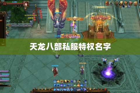天龙八部私服特权名字 天龙八部私服特权名字