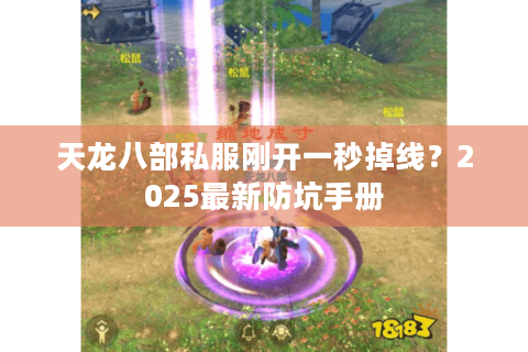 天龙八部私服刚开一秒掉线？2025最新防坑手册