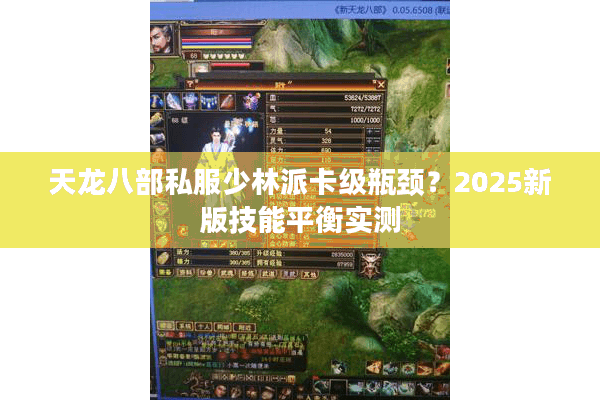 天龙八部私服少林派卡级瓶颈？2025新版技能平衡实测