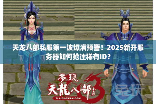 天龙八部私服第一波爆满预警！2025新开服务器如何抢注稀有ID？