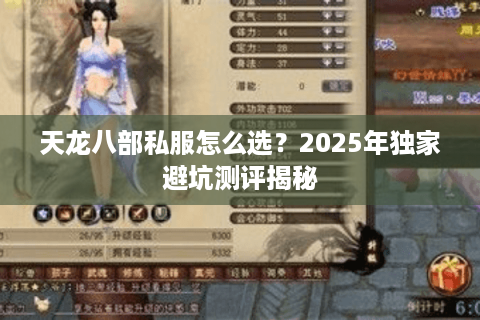 天龙八部私服怎么选？2025年独家避坑测评揭秘