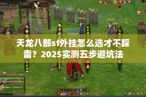 天龙八部sf外挂怎么选才不踩雷？2025实测五步避坑法