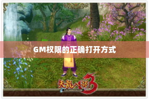 GM权限的正确打开方式