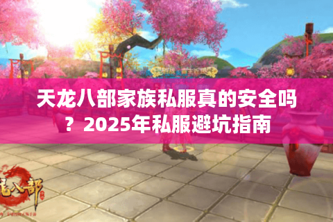 天龙八部家族私服真的安全吗？2025年私服避坑指南