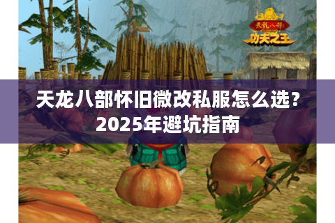 天龙八部怀旧微改私服怎么选？2025年避坑指南