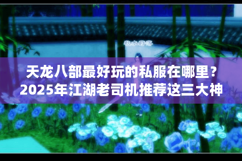 天龙八部最好玩的私服在哪里？2025年江湖老司机推荐这三大神级平台
