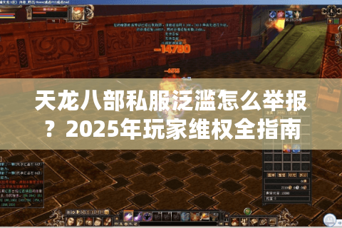 天龙八部私服泛滥怎么举报？2025年玩家维权全指南