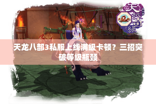 天龙八部3私服上线满级卡顿？三招突破等级瓶颈