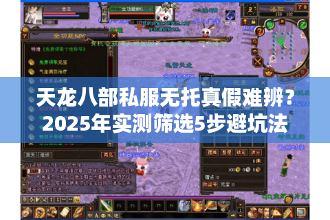 天龙八部私服无托真假难辨？2025年实测筛选5步避坑法
