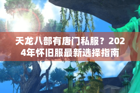 天龙八部有唐门私服？2024年怀旧服最新选择指南