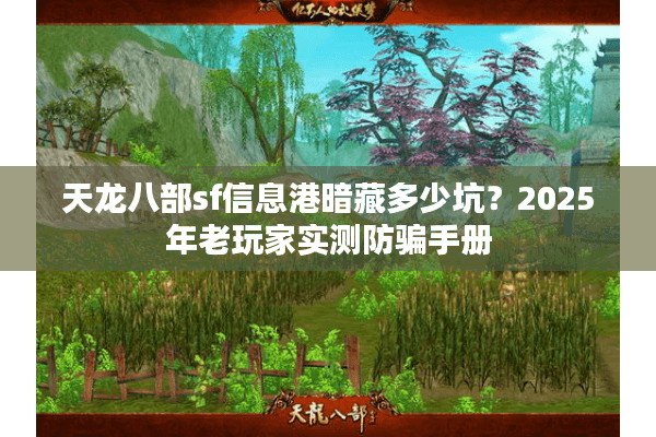 天龙八部sf信息港暗藏多少坑？2025年老玩家实测防骗手册