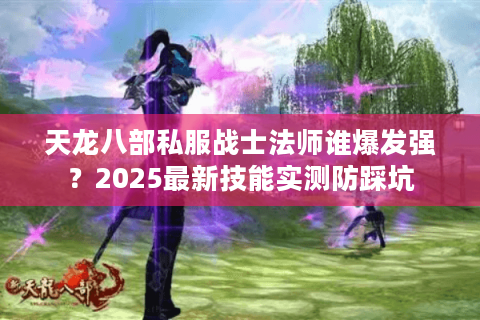 天龙八部私服战士法师谁爆发强？2025最新技能实测防踩坑