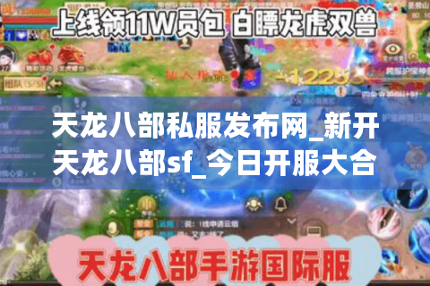 天龙八部私服发布网_新开天龙八部sf_今日开服大合集