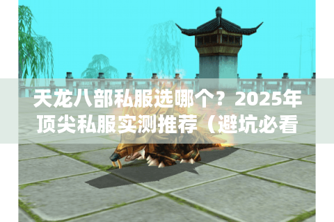 天龙八部私服选哪个？2025年顶尖私服实测推荐（避坑必看）