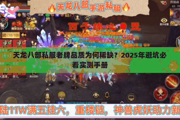 天龙八部私服老牌品质为何稀缺？2025年避坑必看实测手册