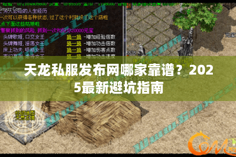 天龙私服发布网哪家靠谱？2025最新避坑指南